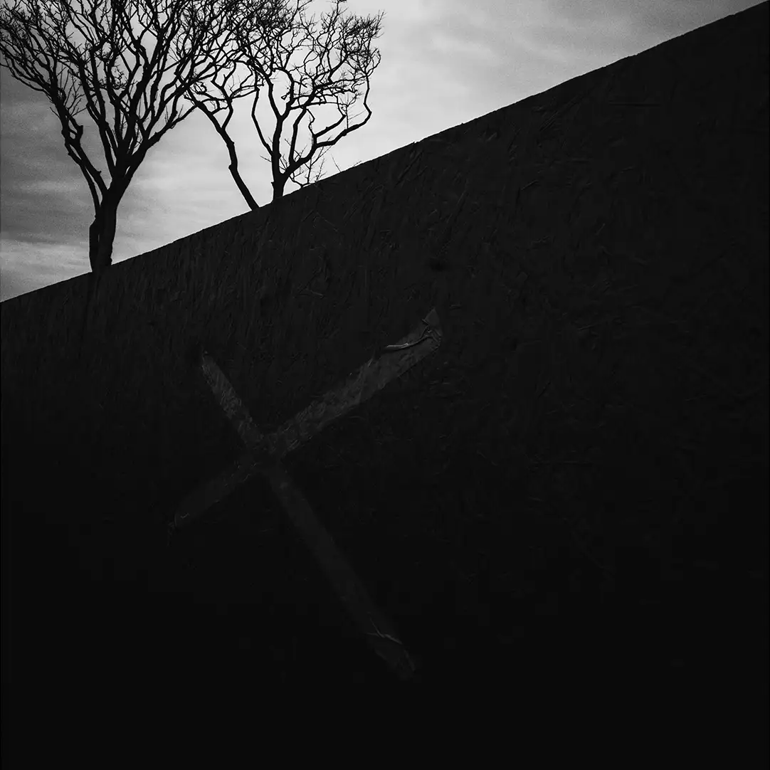 Tree and an X on a wall